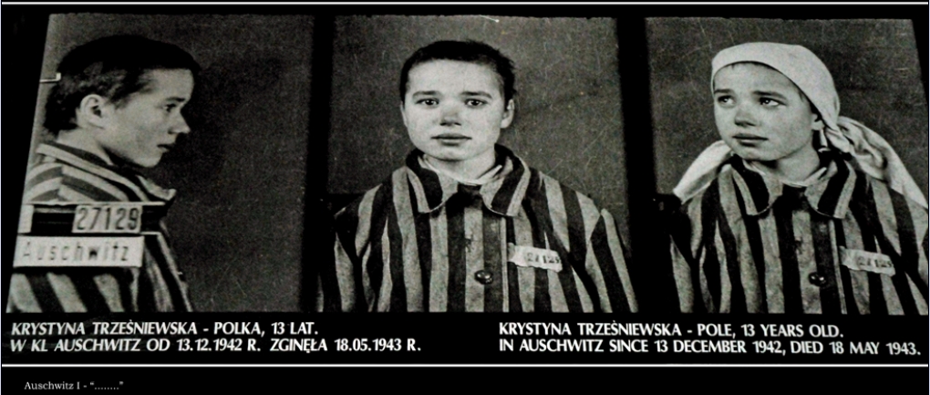 Auschwitz "......"