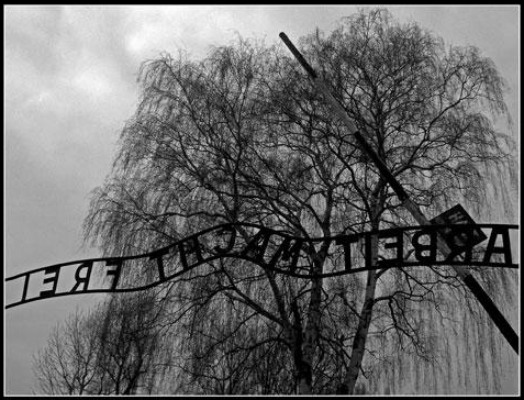 Auschwitz: Il lavoro rende liberi