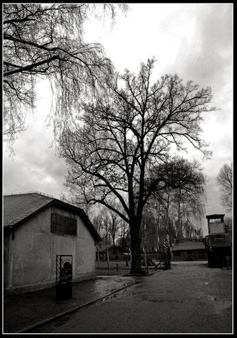 Auschwitz: Muro dove si posizionava l'orchestra (a sinistra) 